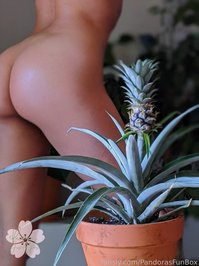 PandorasFunBox leak - Have you eaten yet today, My Love? I made you di