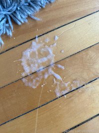 itsmecat leak - Whoops, had a cream-filling leak!