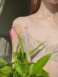 umacerura leak - Anthurium lilli