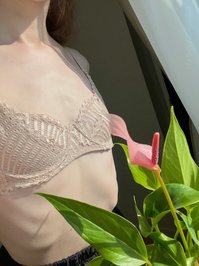 umacerura leak - Anthurium lilli