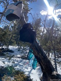 bunniicult leak - Eagles Video! B/G creampie in the forest! This