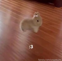 yogabunn leak - HI<3 im sooo hype for the weekend being hereee:D<3