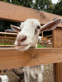 YourSmallDoll leak - hello today i went to the park and spent some ti