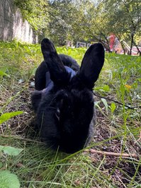 YourSmallDoll leak - hi >< today was such a wonderful day!! went for a