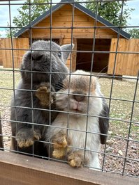 YourSmallDoll leak - hello today i went to the park and spent some ti