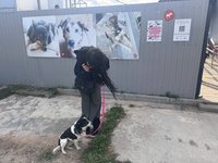 YourSmallDoll leak - visited a dog shelter today and brought them some