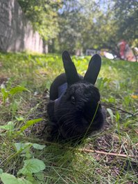 YourSmallDoll leak - hi >< today was such a wonderful day!! went for a