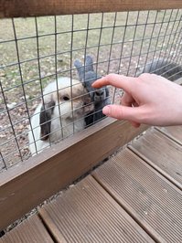 YourSmallDoll leak - hello today i went to the park and spent some ti