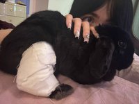 YourSmallDoll leak - me and my bunny flu are sending you a little hello