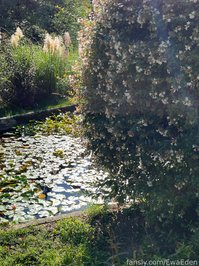 EwaEden leak - i gonna miss these bright summer days #fyp #nat