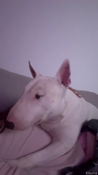 Kisuna leak - Getting some TLC from Dr D.O.Gee after my accident