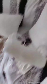 lazypiggy leak - Do you prefer white underwear or black underwear?