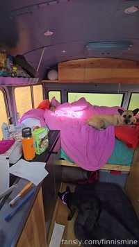 finnismine leak - Full nude outdoor pee w/ @SteezyT #pee #outdoor #h