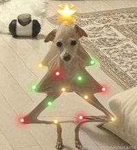 hoejousama leak - If you bought a 6 month package, make sure it is s