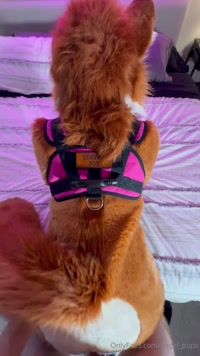angel_pups leak - I’m a good service vixen ~