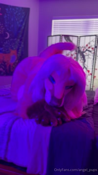 angel_pups leak - Play?