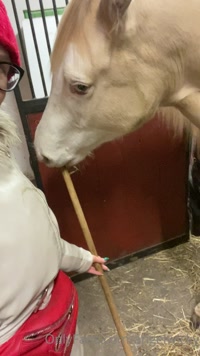 angelwicky leak - Shiney is helping out? Shiney pomáhá?