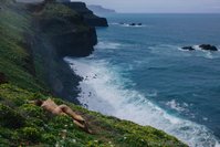 anna.ralphs leak - Part 2 Ready for another little journey through Madeira? Th..