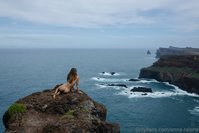 anna.ralphs leak - Echoes of the Earth Part 1Imagine these images as pages of..