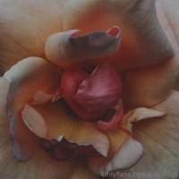 baddieve leak - my nudes // my photography all of the photos were taken by ..