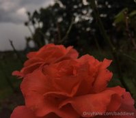 baddieve leak - my nudes // my photography all of the photos were taken by ..