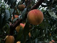 baddieve leak - my nudes // my photography all of the photos were taken by ..