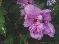 baddieve leak - my nudes // my photography all of the photos were taken by ..