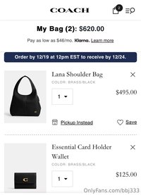 bbj333 leak - all i want for christmas is my coach order bought ❣️❣️❣️