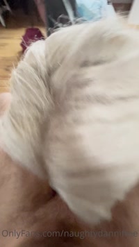 curvydannivip leak - ‼️ FULL VID ‼️ sucking my tinder dates hard cock before my f..