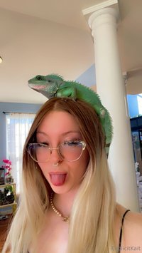 explicitkait leak - My Chinese water dragon is being hospitalized at the vet rig..