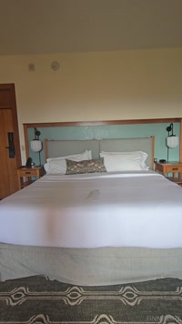 finnisfine leak - ITS MY BIRTHDAY David took me to a fancy hotel! What do we..