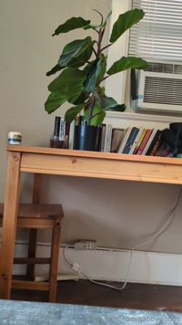 gabbywoods leak - Some uhhh bloopers.... Enjoy these 3 short videos of me tryi..