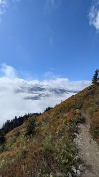 gabbywoods leak - I forgot to share some pictures and a video from my last bac..