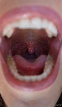 giantess_kendrik leak - ✨ Final Chance for My Vore Campaign! ✨Today’s the last day t..