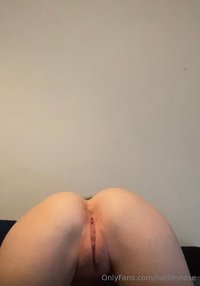 harlleylovee leak - 3 shoots coming in the next week get excited ❤️❤️