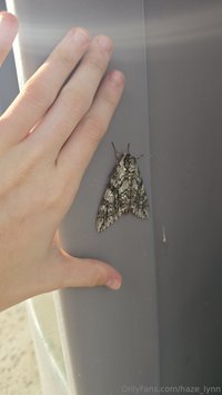 haze_lynn leak - I haven't had a chance to record new content yet, but here's..