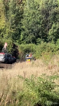 infiltrateproxy leak