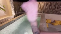 jodie_johnson leak - JUNGLE HOOKUP- @stephaniethestripper needed some eager cock ..