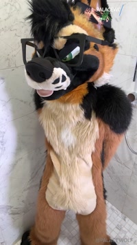 palacewolf leak - FULL VIDEO (7m01s)- Fullsuit UndressPrefer me in suit? Or ..