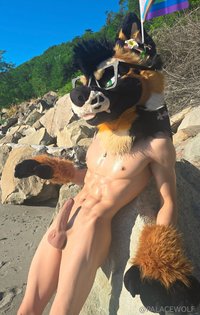 palacewolf leak - Phone wallpaper worthy?