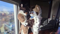 palacewolf leak - FULL VIDEO (19m20s) - FURSUIT TWIN BROS✊ Had to show my s..