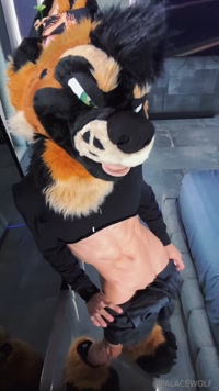 palacewolf leak - silly shep doing a silly dance while nude