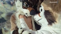 palacewolf leak - TEASER - FURSUIT TWIN BROS✊Had to show my smol fursuit twi..
