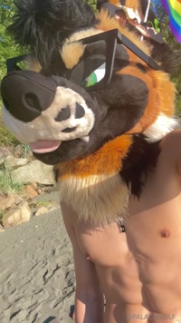 palacewolf leak - Join me in my nude beach adventures and come suck this cock?..