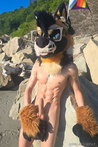 palacewolf leak - Phone wallpaper worthy?