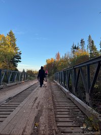 roxxi_diamond leak - Date with a serial killer ⚠️ FAKEBLOOD ⚠️