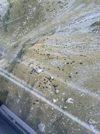 saintziya leak - ❄️ Zip-lining on the worlds highest