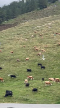 saintziya leak - ❄️ Zip-lining on the worlds highest