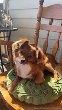 sukoshicosplay leak - Yesterday I did my makeup for the first time in a hot minute..