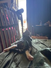 sukoshicosplay leak - I think i might be losing my marbles